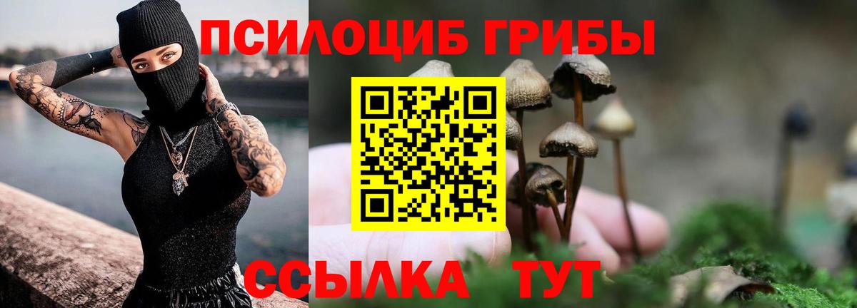 Галлюциногенные грибы Cubensis Симферополь